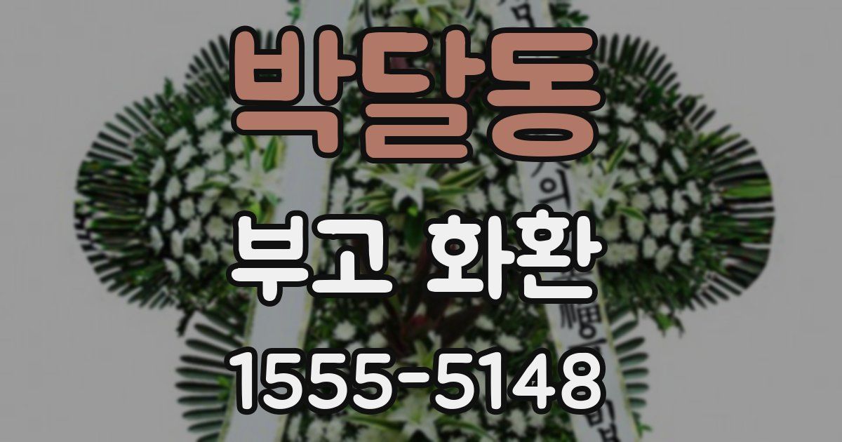 박달동 부고 화환