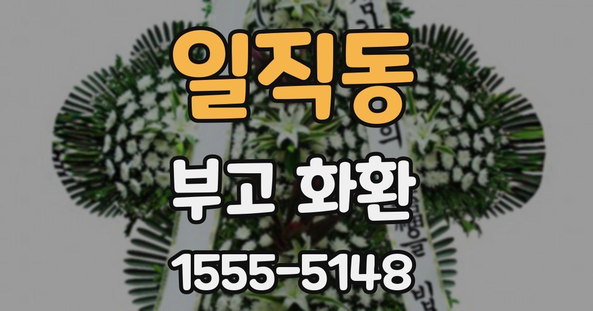 일직동 부고 화환