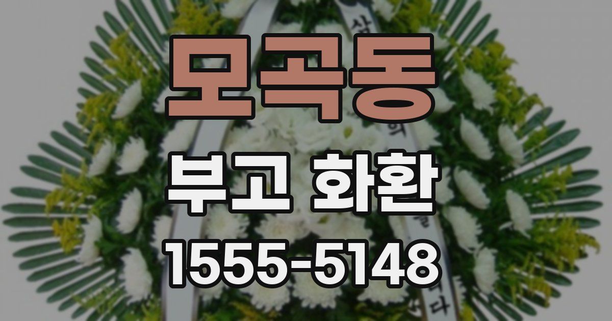 모곡동 부고 화환