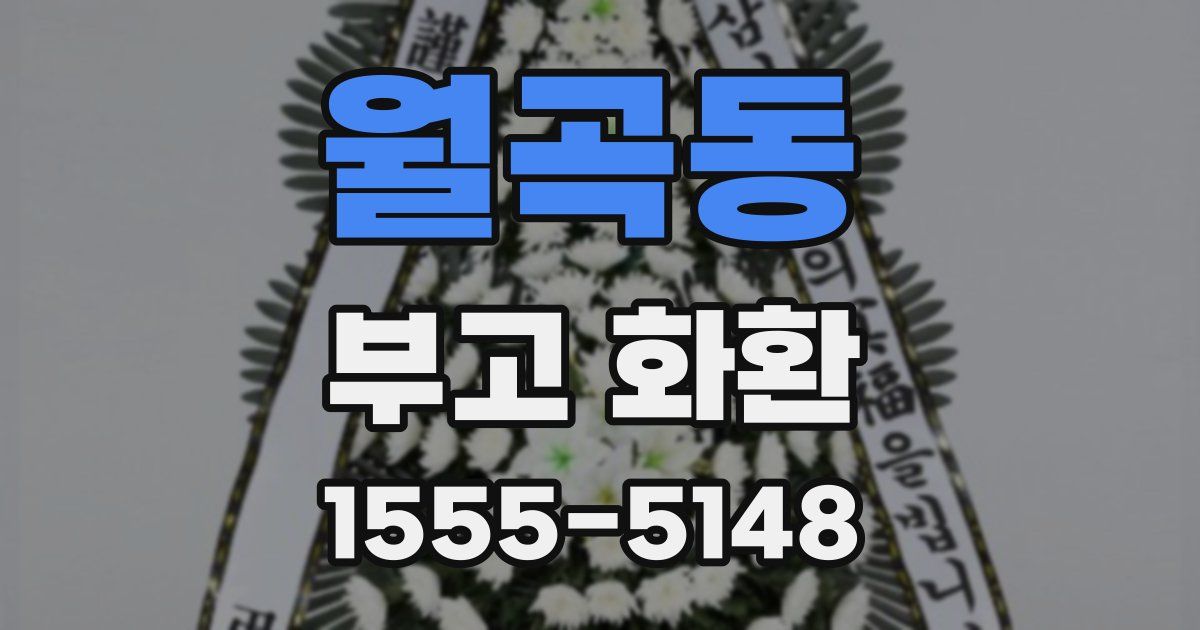 월곡동 부고 화환