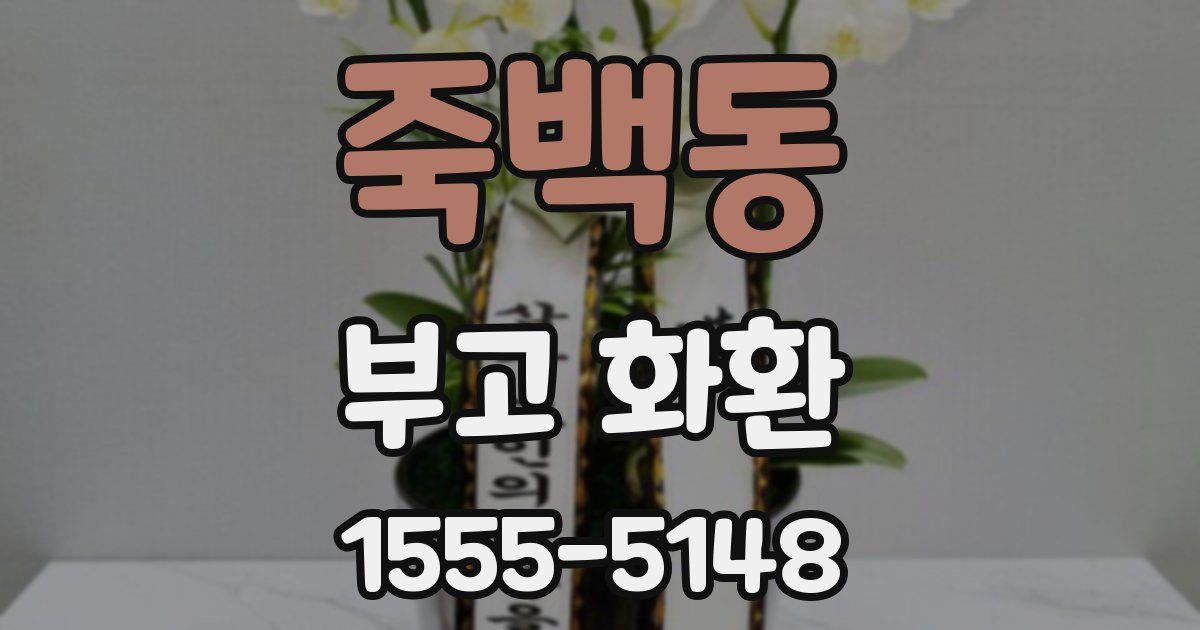 죽백동 부고 화환
