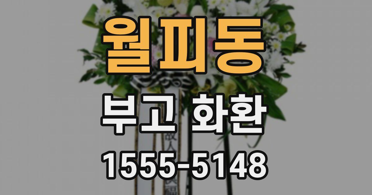 월피동 부고 화환