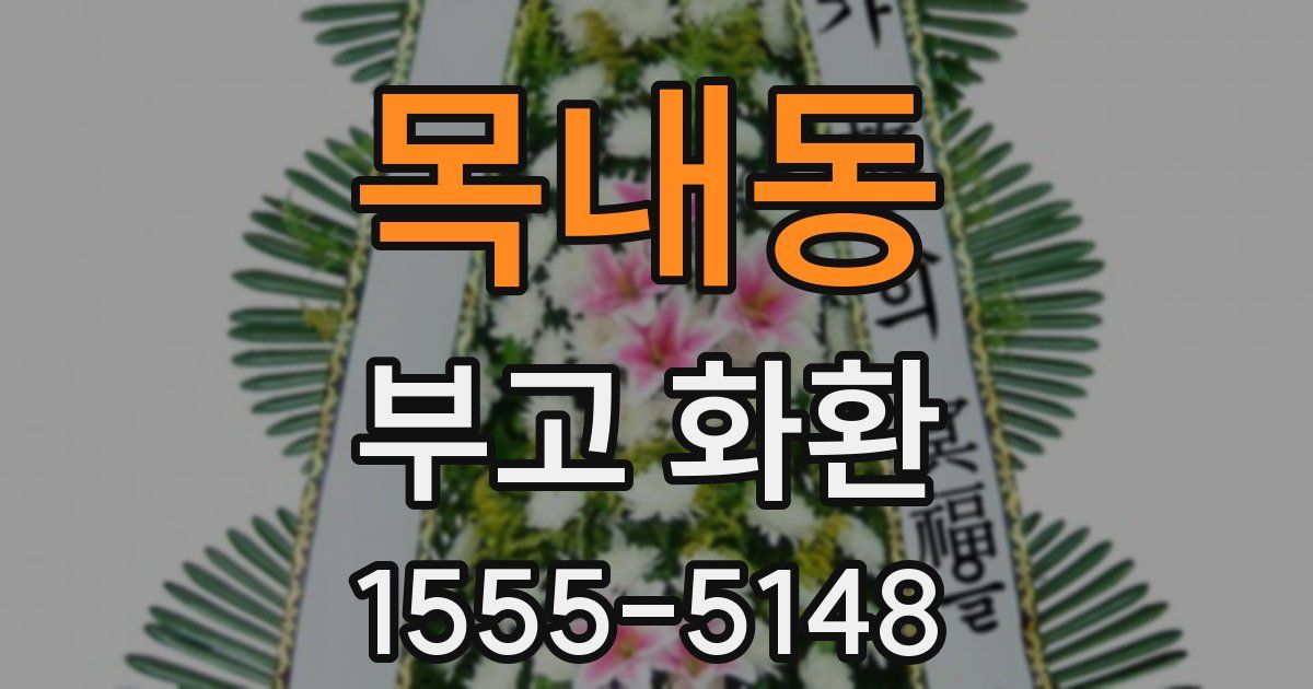 목내동 부고 화환