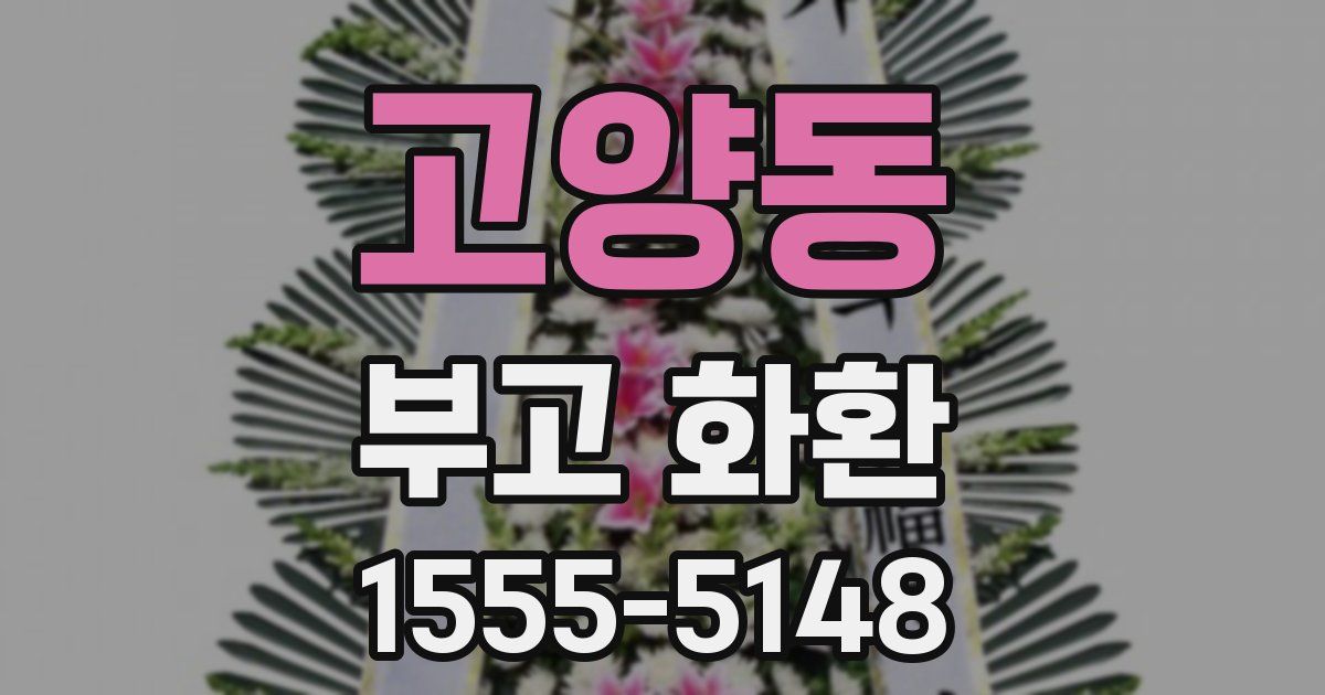 고양동 부고 화환