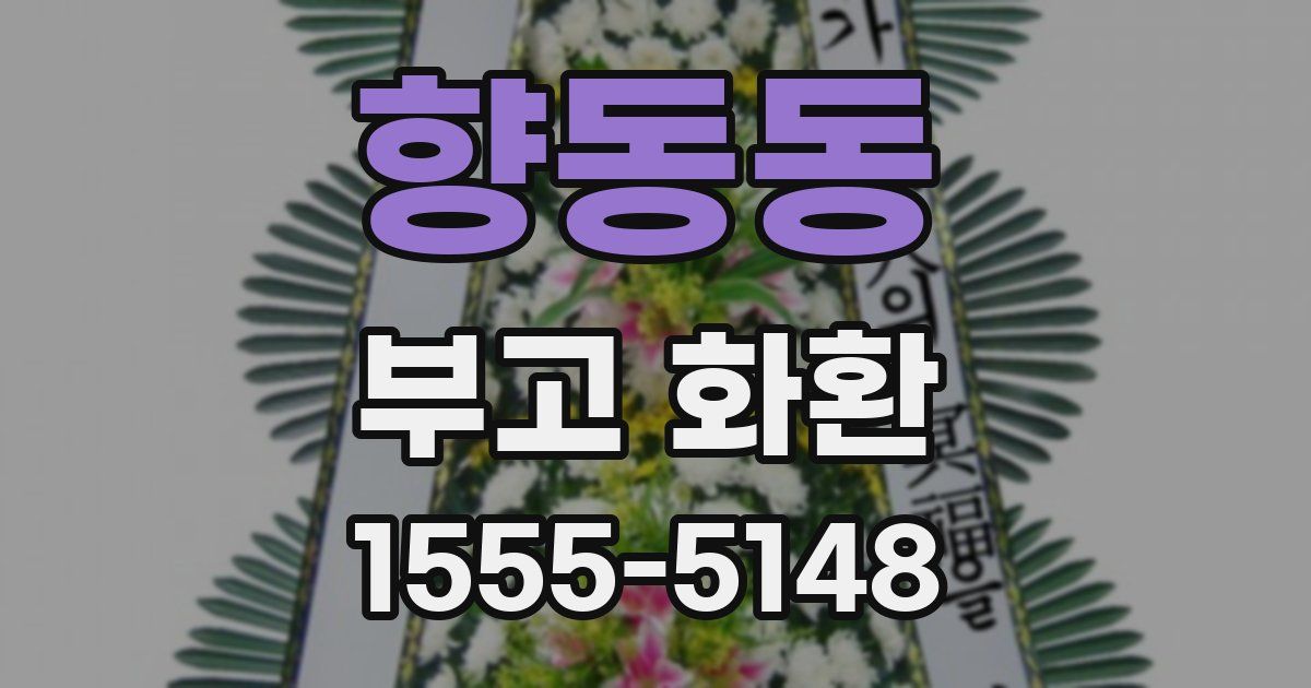 향동동 부고 화환