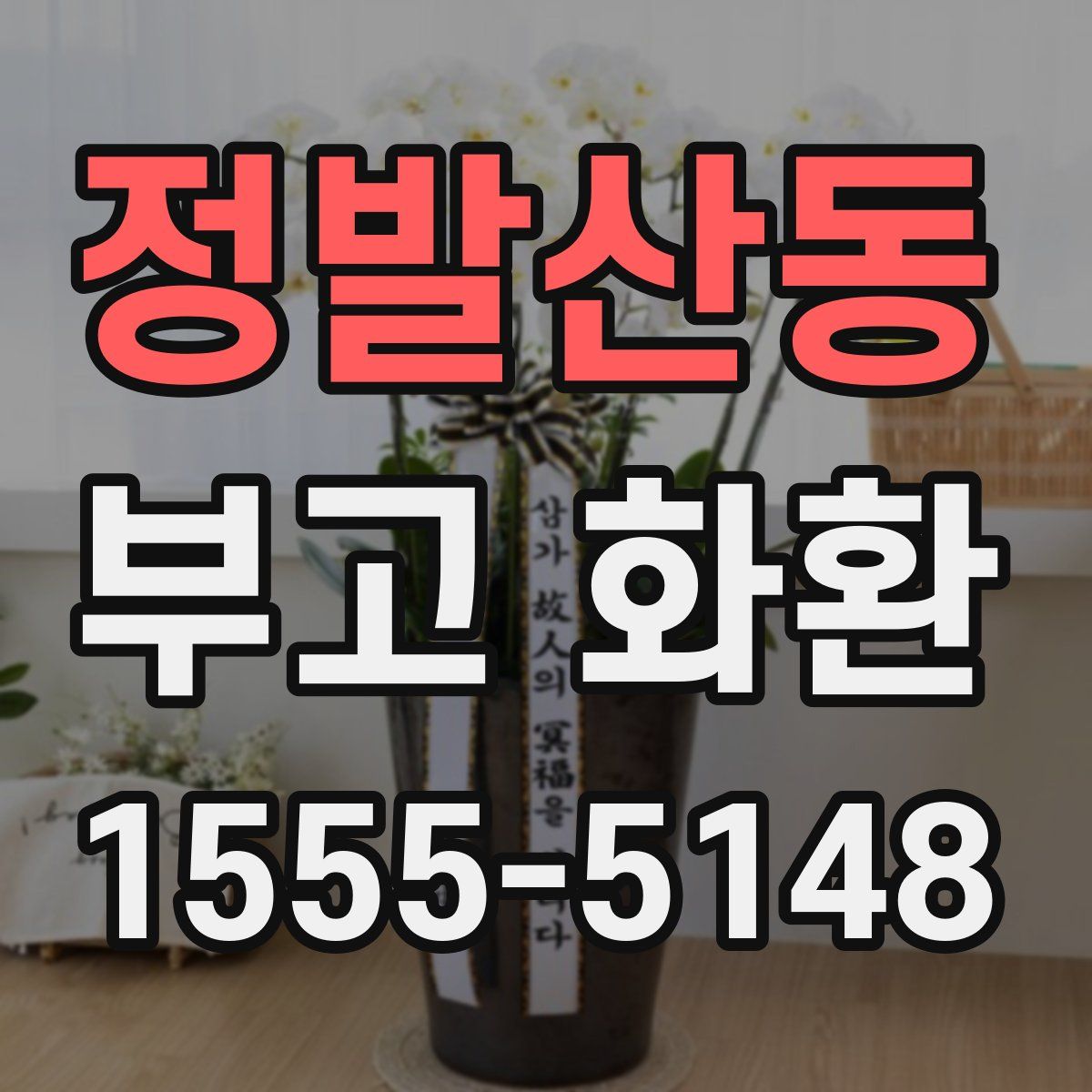 정발산동 부고 화환