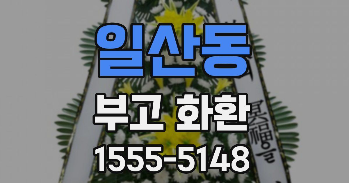 일산동 부고 화환
