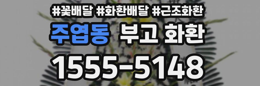 주엽동 부고 화환