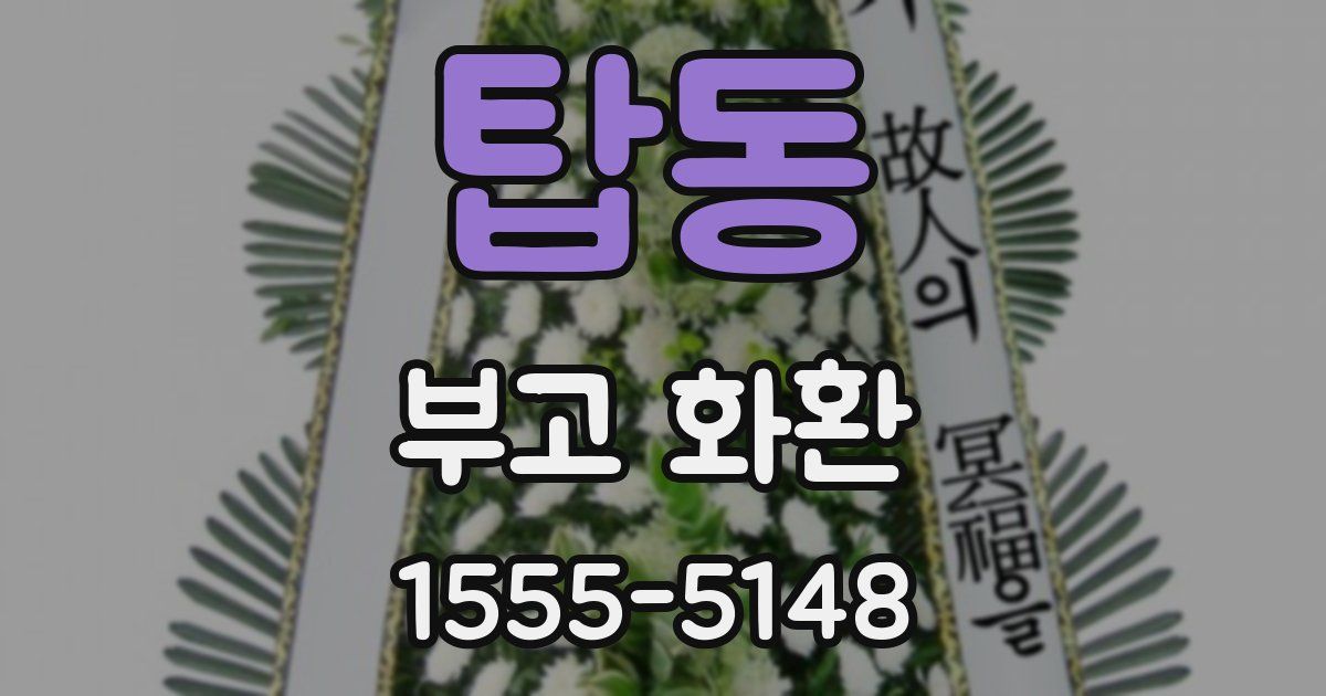탑동 부고 화환