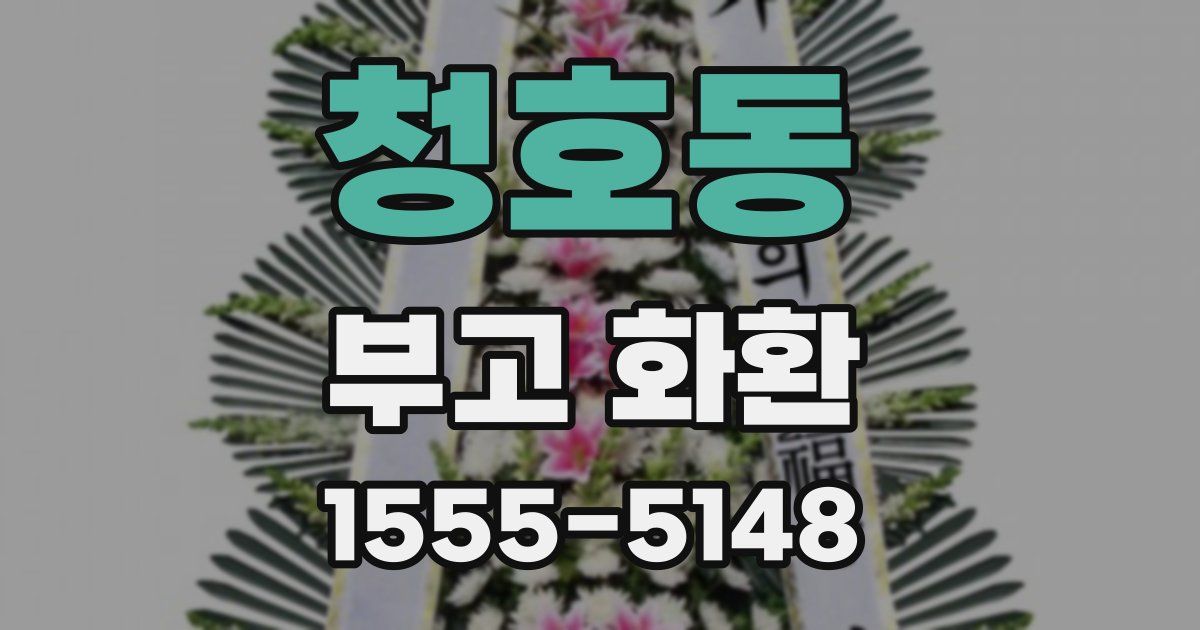 청호동 부고 화환