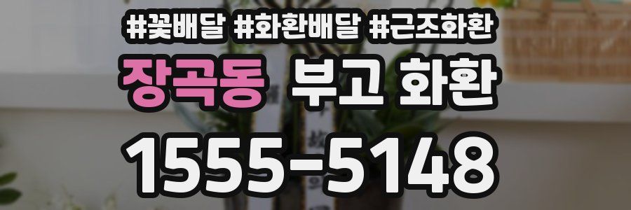 장곡동 부고 화환