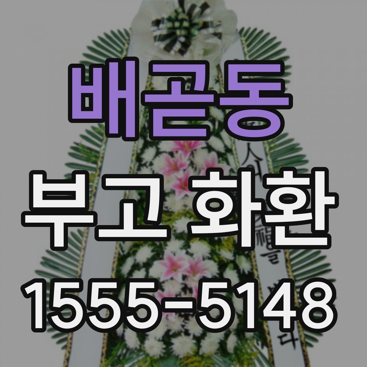 배곧동 부고 화환