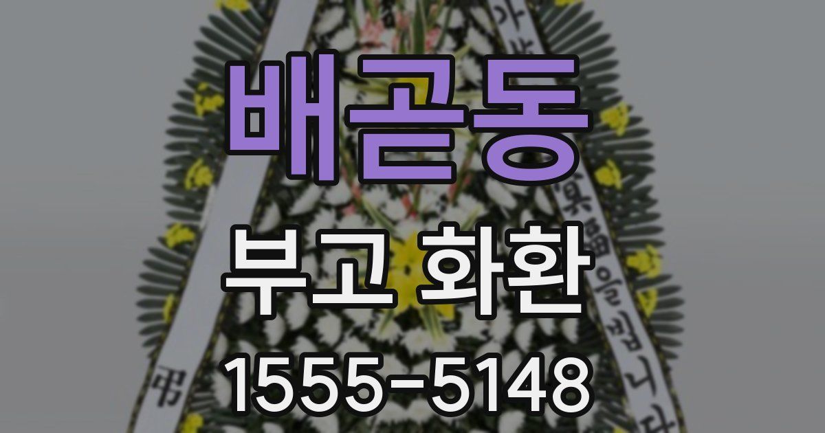 배곧동 부고 화환