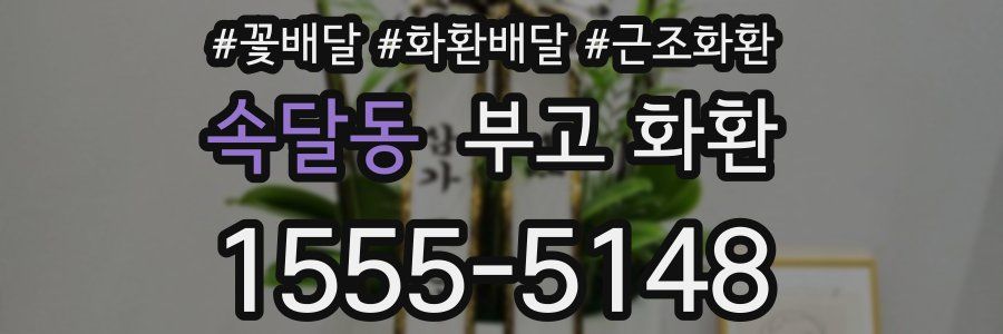 속달동 부고 화환