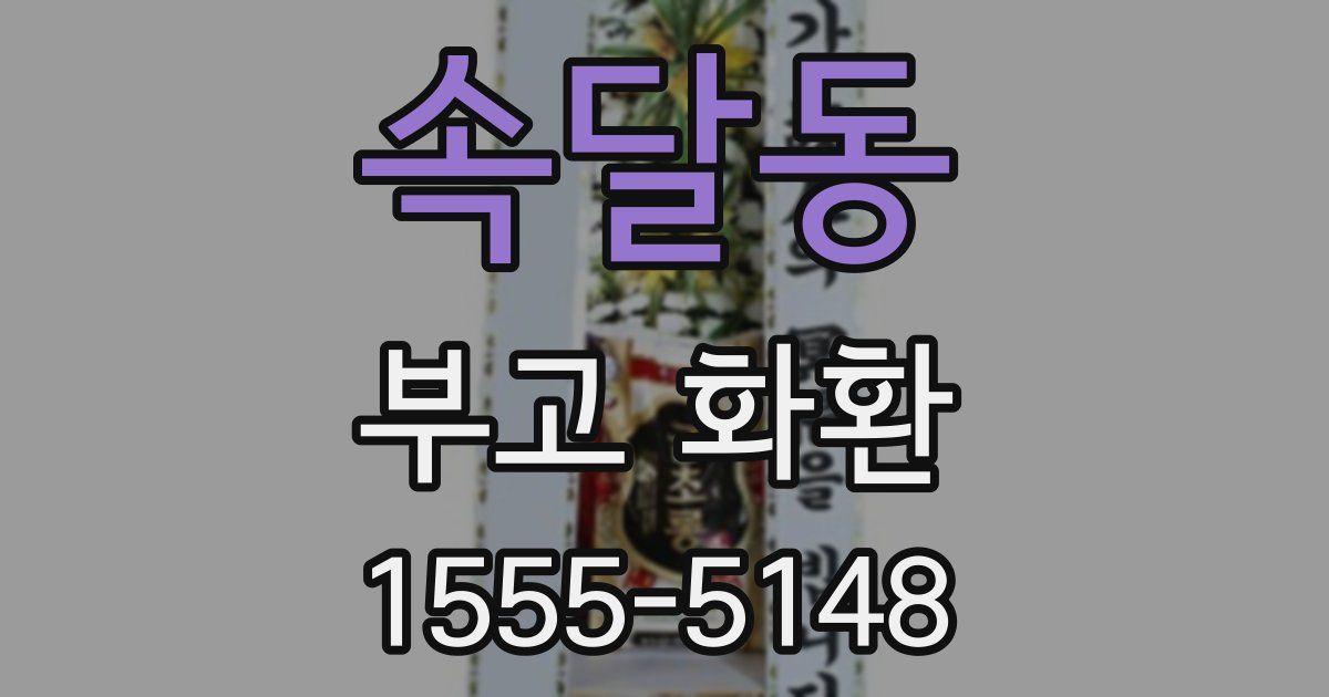 속달동 부고 화환