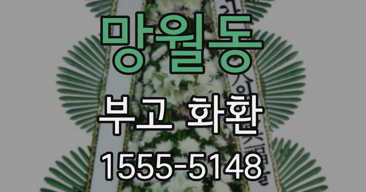 망월동 부고 화환