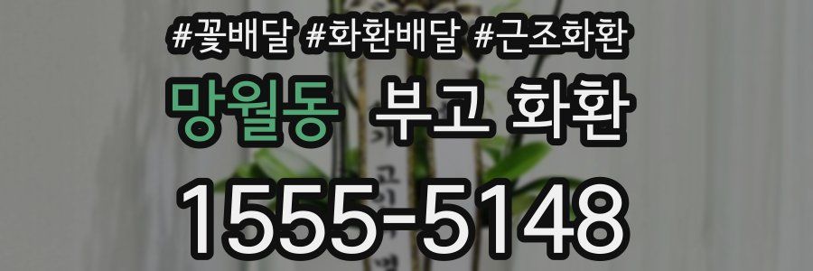 망월동 부고 화환
