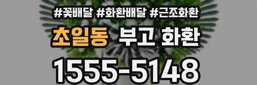 초일동 부고 화환