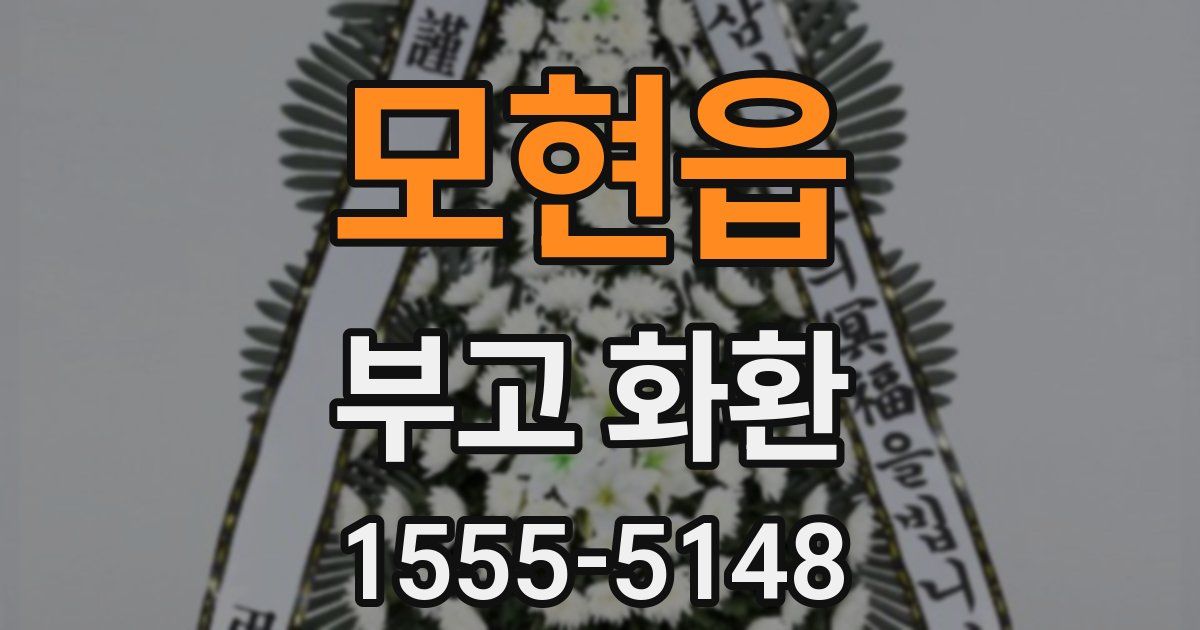 모현읍 부고 화환