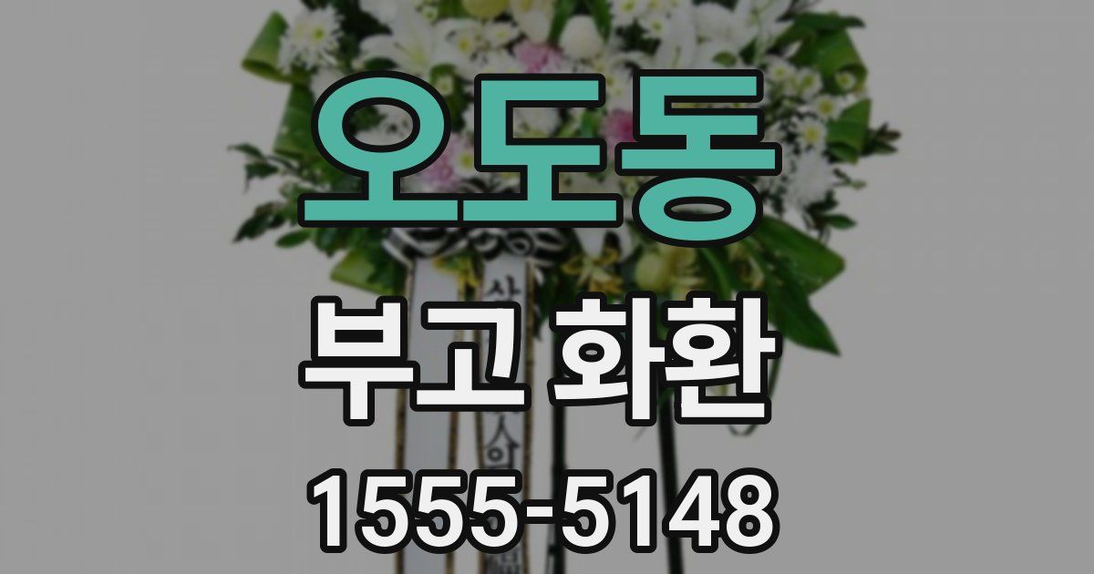 오도동 부고 화환