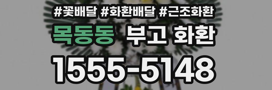 목동동 부고 화환