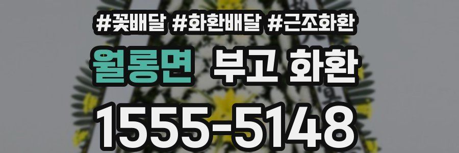 월롱면 부고 화환