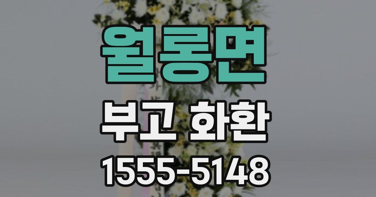 월롱면 부고 화환
