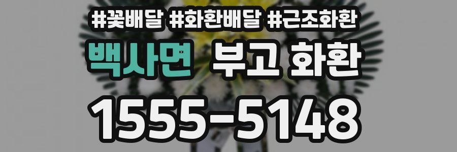 백사면 부고 화환