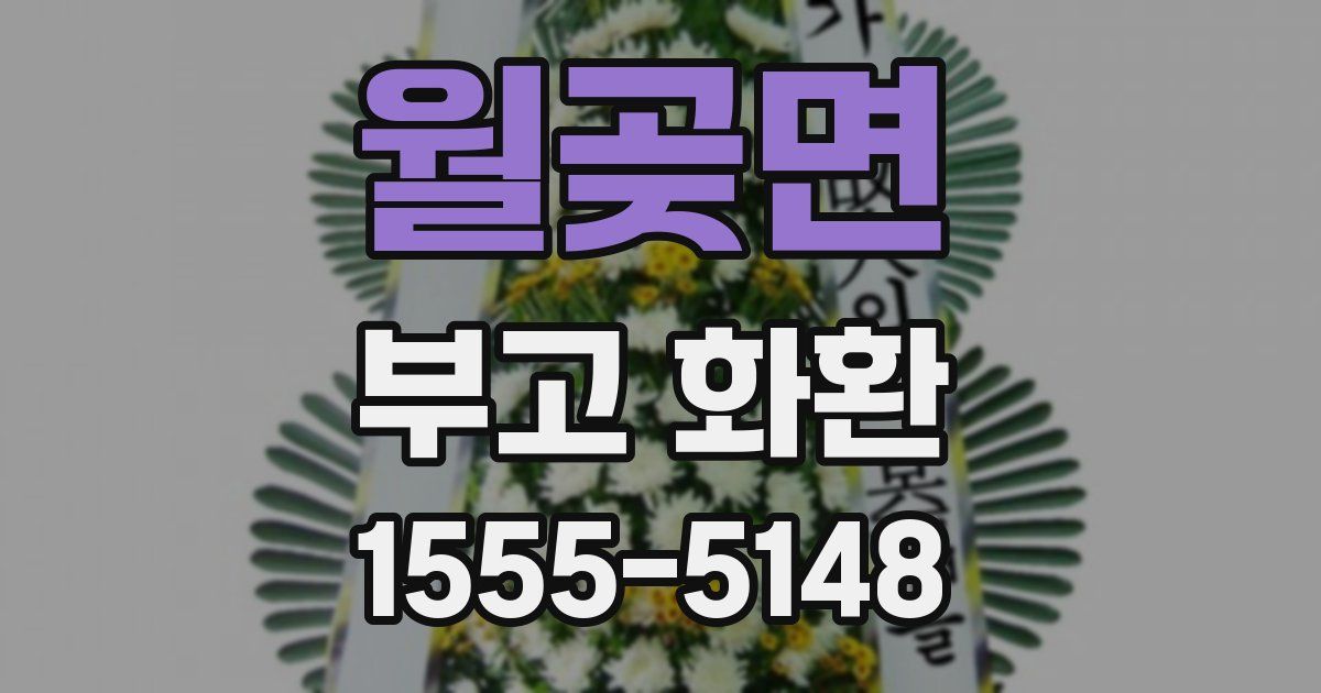 월곶면 부고 화환