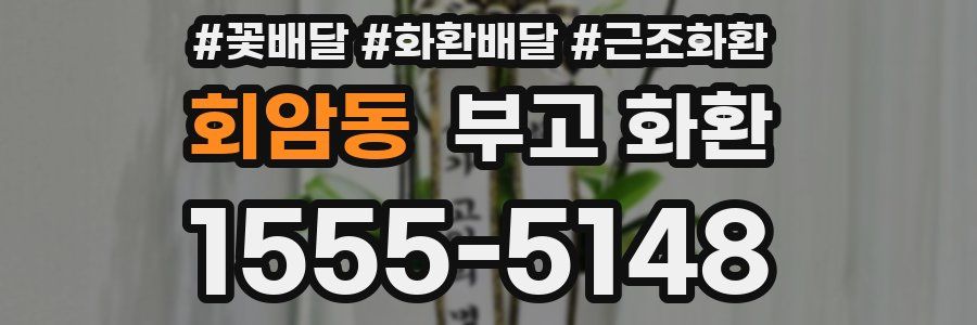 회암동 부고 화환