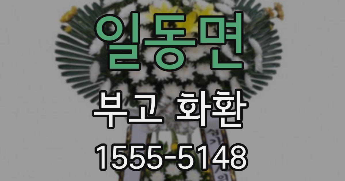 일동면 부고 화환