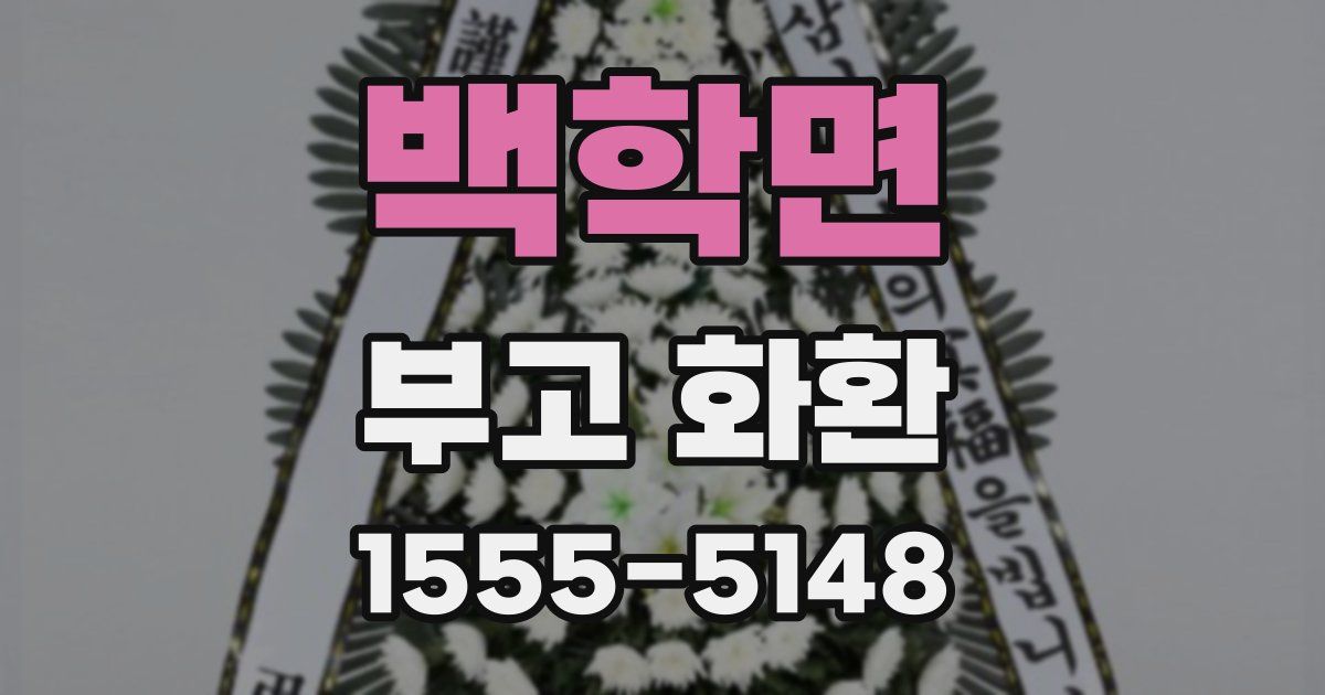 백학면 부고 화환