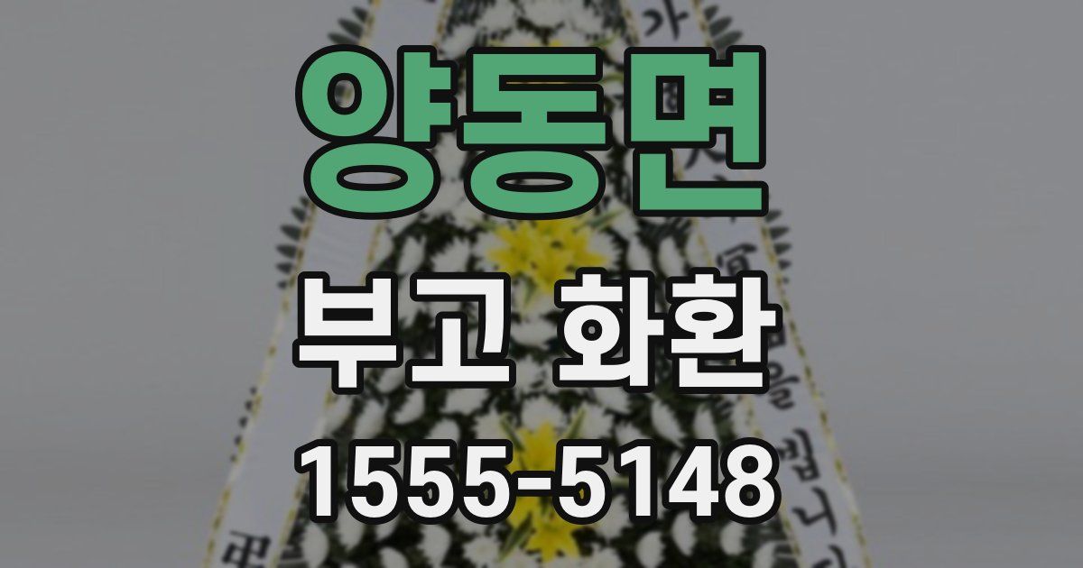 양동면 부고 화환