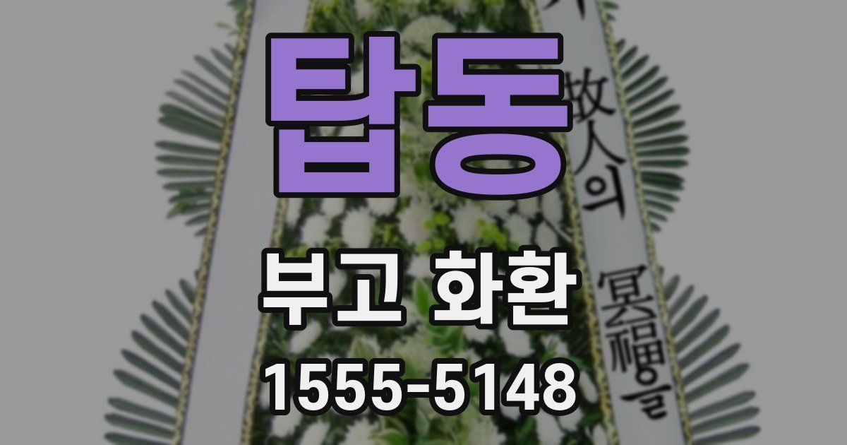 탑동 부고 화환