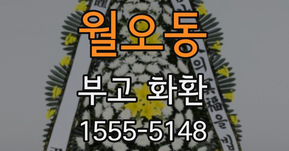 월오동 부고 화환