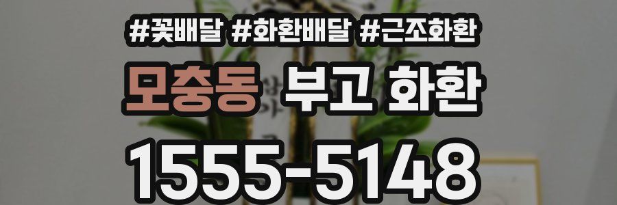 모충동 부고 화환