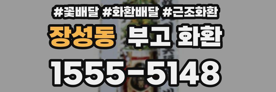 장성동 부고 화환