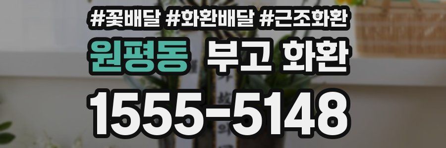 원평동 부고 화환