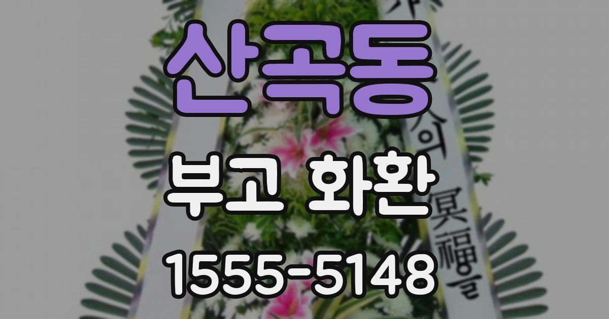 산곡동 부고 화환