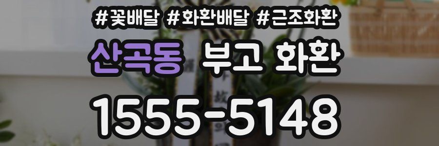 산곡동 부고 화환