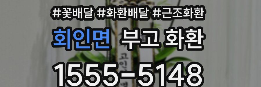 회인면 부고 화환