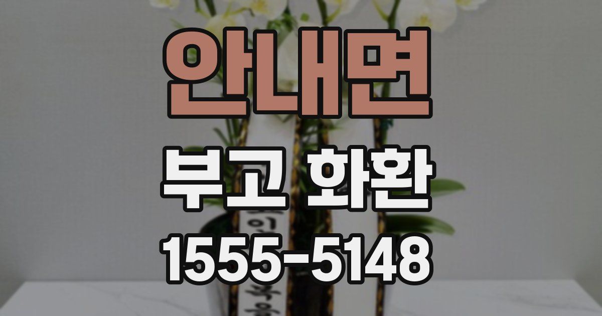 안내면 부고 화환