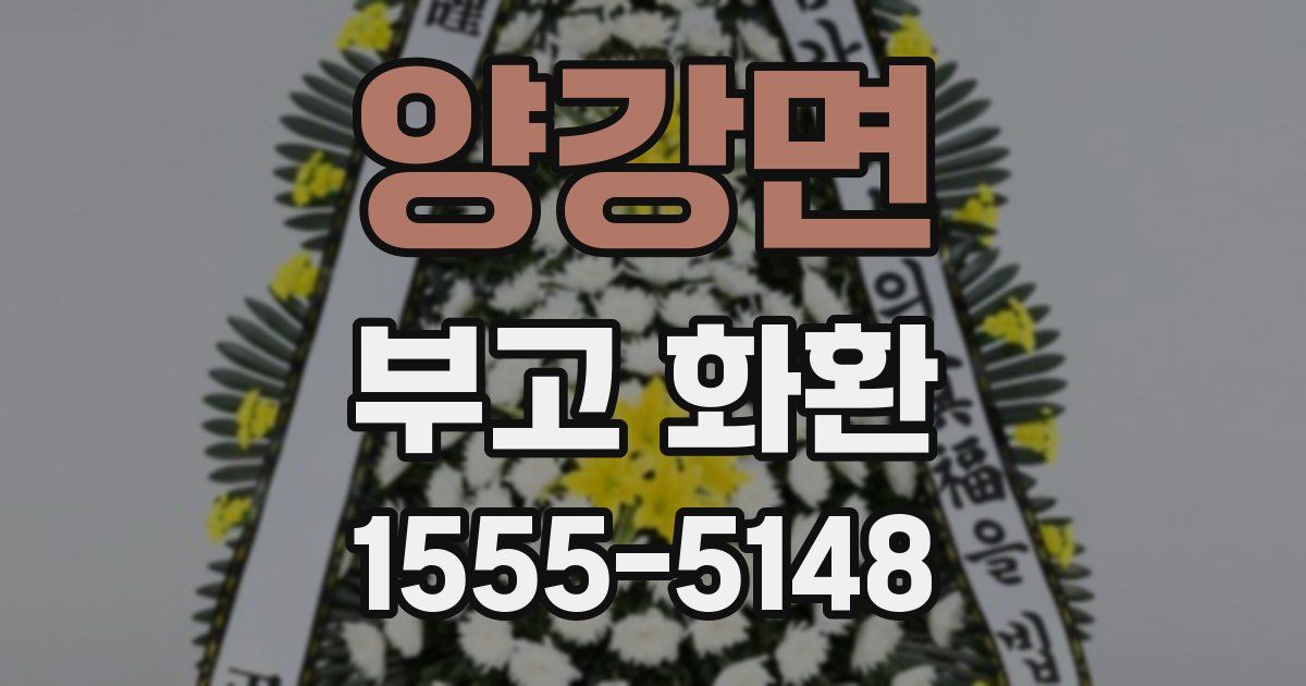 양강면 부고 화환