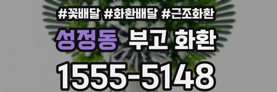성정동 부고 화환