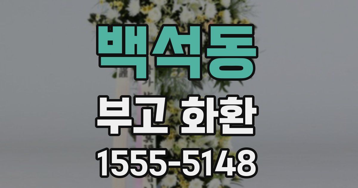 백석동 부고 화환