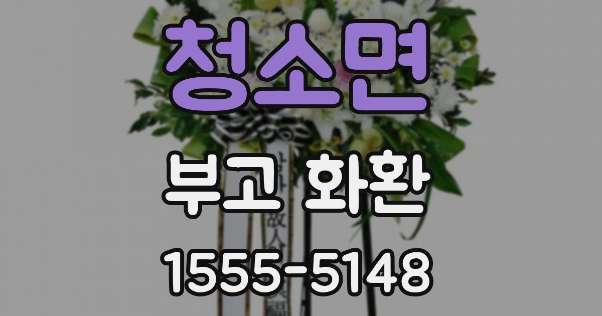 청소면 부고 화환