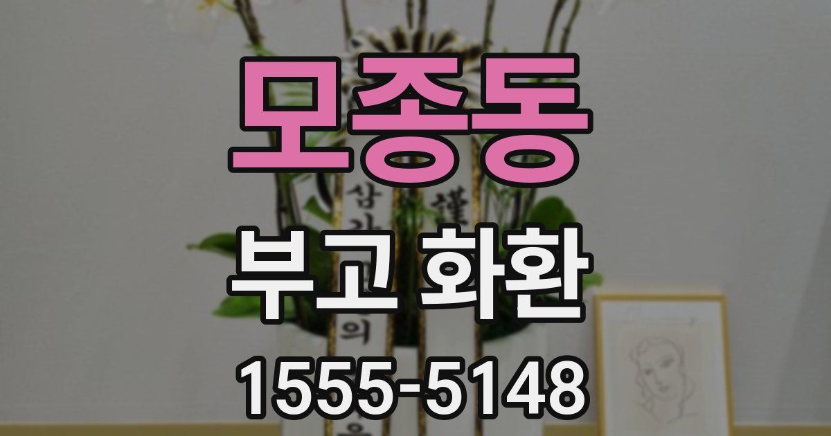 모종동 부고 화환