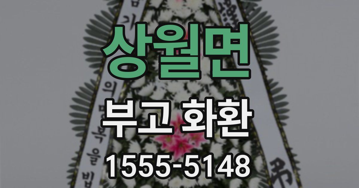 상월면 부고 화환