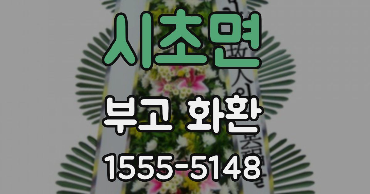 시초면 부고 화환