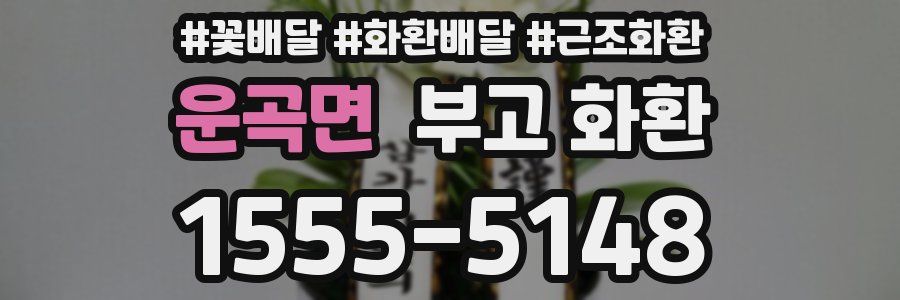 운곡면 부고 화환